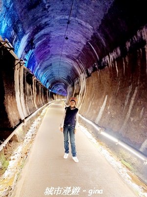 【苗栗】貓貍山公園功維敘隧道2981669