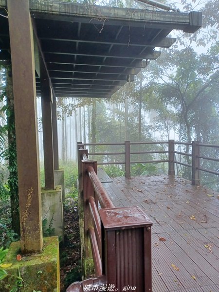 【雲林古坑】適合親子散散步。 華山小天梯情人橋1681767