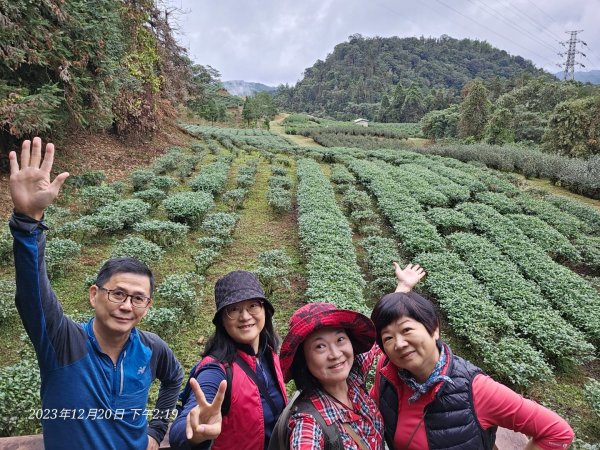 漫步小百岳貓囒山＆鹿篙咖啡2387910