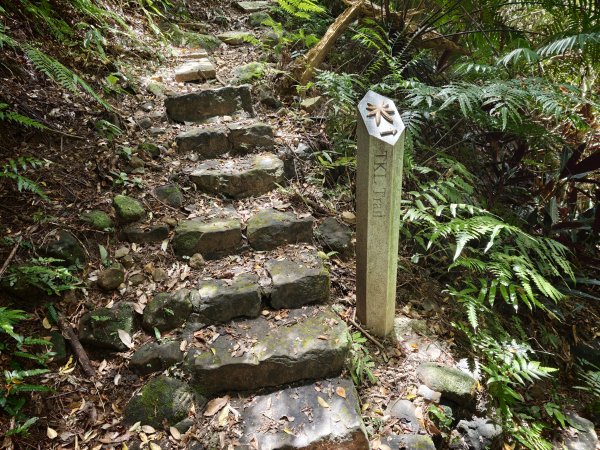 [淡蘭古道] 2026_0523 南路第一段_樹梅古道3069603