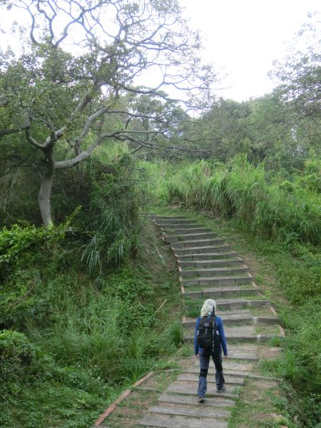 香山車站．青青草原步道200121