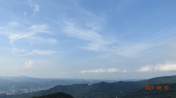 平溪賞豔紅鹿子百合/七夕百合/峭壁精靈，午後雷陣雨過後的雲霧飄渺1435422