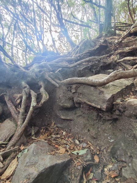 橫沙笛縱走2668686