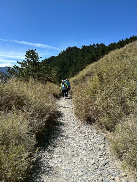 小奇萊步道2777615