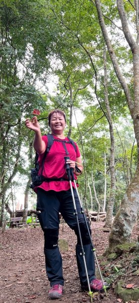 馬那邦山（珠湖登山口）2933968