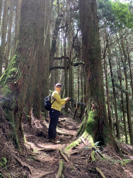 20250517義義兒玉山-東水山2791646