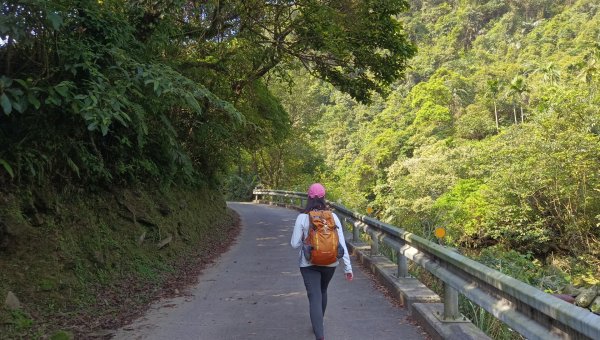 (姨婆趴趴走)第四十八集:新北草嶺古道（福隆車站-大里車站）2747648