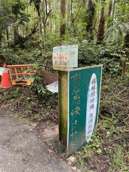 溪頭山竹崙山志騰山3061595