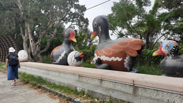 《嘉義》國家級濕地｜東石鰲鼓濕地森林園區202410272638467