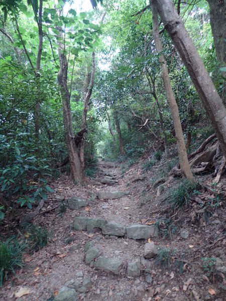 步道巡訪員 l 浸水營前段步道9月巡訪日誌1104987