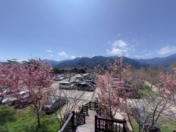 ~ 上帝的部落 - 司馬庫斯 ~3023553