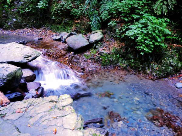 【宜蘭礁溪】清涼一夏：林美石磐步道389874