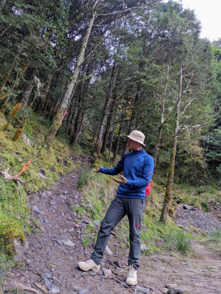 2021-12-23小關山林道神池小關山1561731