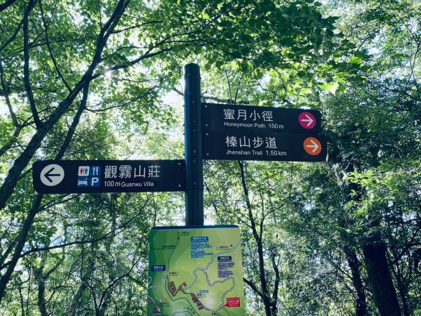 20260531觀霧榛山登山步道（榛山北峰+主峰+環形步道）3071464