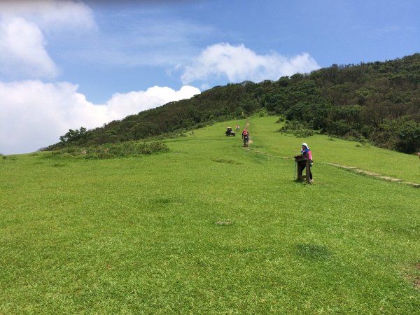 荷蘭古道-北五指山-擎天崗-內寮古道558272