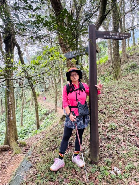 紫微聖母環山步道走六寮崙山與西南峰2989125