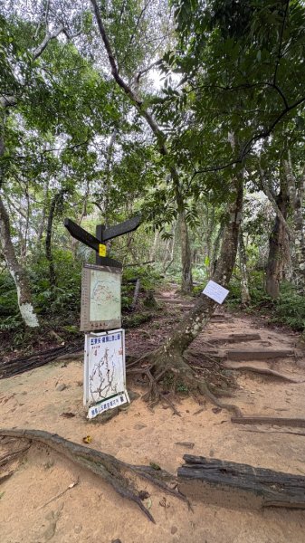 迎新（2026元旦2975558