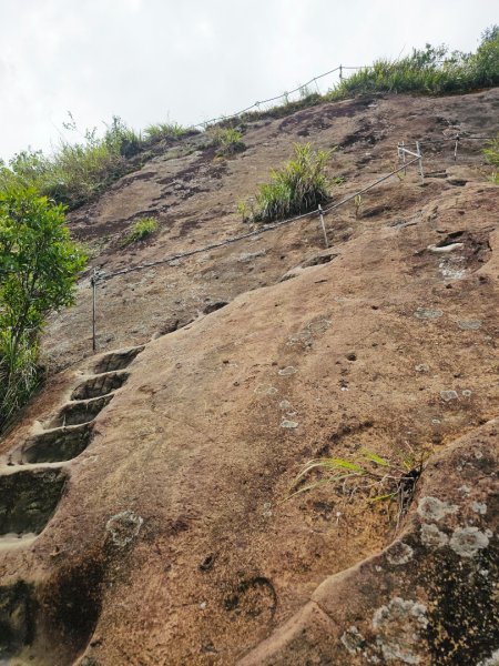 (五分山系)平溪小黃山-2025微笑山線大縱走尋寶集章任務2855299