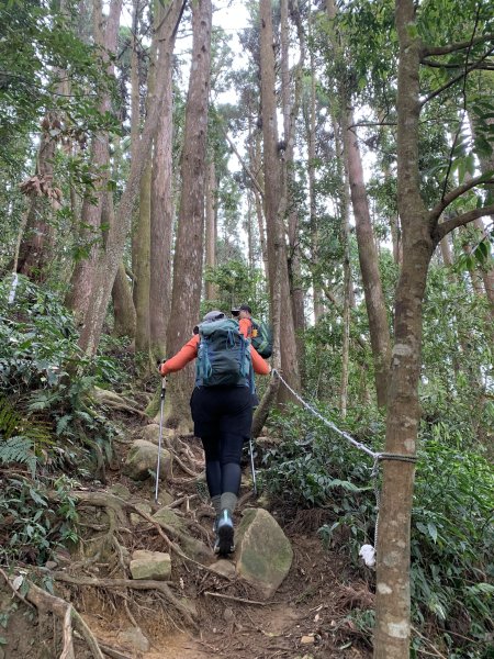20260501南投嶺頭山-金柑樹山3052900