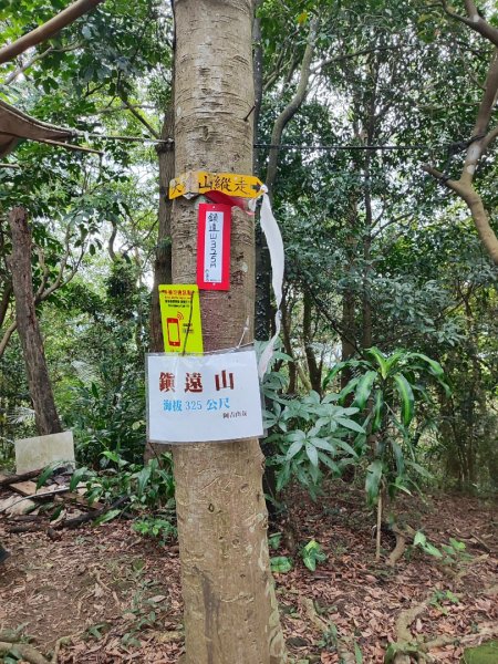 龜山到樹林散步一日遊2636220