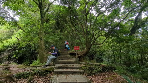 112.04.29走遍陽明山尋寶任務之坪頂古圳步道2137389