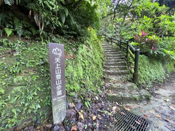 2025微笑山線大縱走尋寶集章任務-Ep.04【天上山系】望月亭桐花段｜石門內尖山東峰 ×石門內尖山2979081