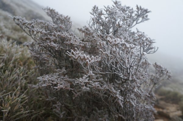 能高越嶺登山趣513480