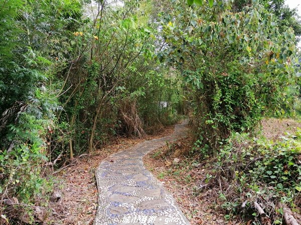 適合賞景健身親子型步道~鳳凰山觀音山步道1244175