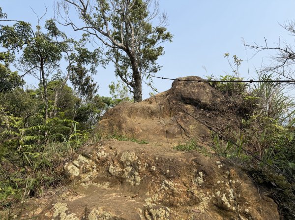 [微笑山線_第八段] 2026_0411 二格山系_炙子頭山3035095