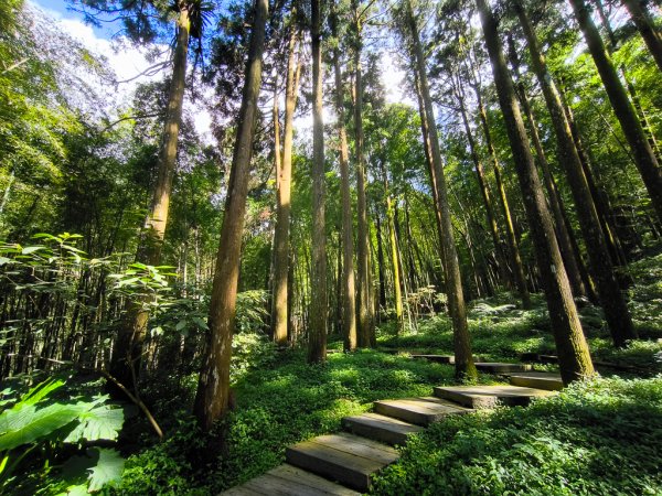 2025-09-14 奮起湖2887397