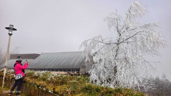 #霧淞 #雲海 #雲瀑 #霧虹 #太平山 #望洋山 #觀雲步道 #翠峰道路  2/82995376