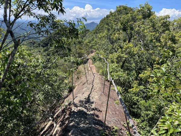 [微笑山線_第九段] 2025_0914 二格山系_天王峰2889615