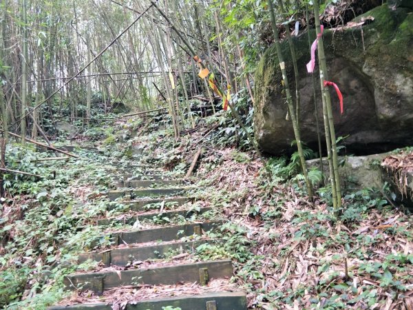 奮瑞古道—雲載山1426294