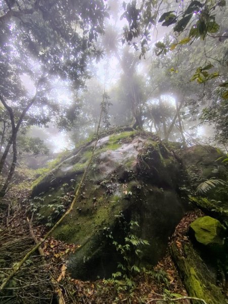 矢場谷山連走勃子山2805063