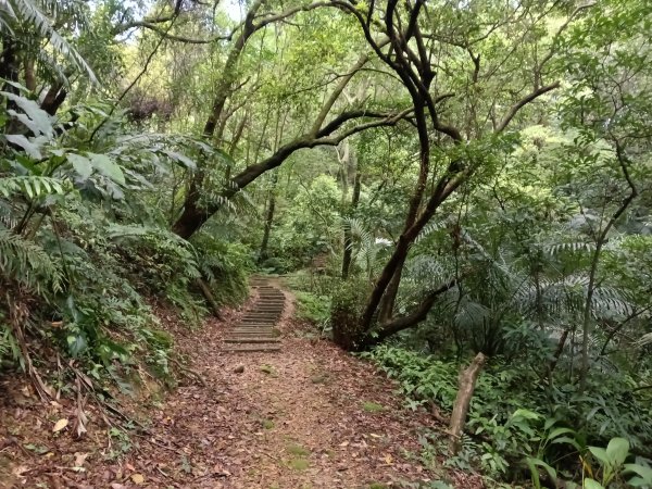 瑞芳區過港山+四腳亭砲台+深奧砲台山P字走2803754
