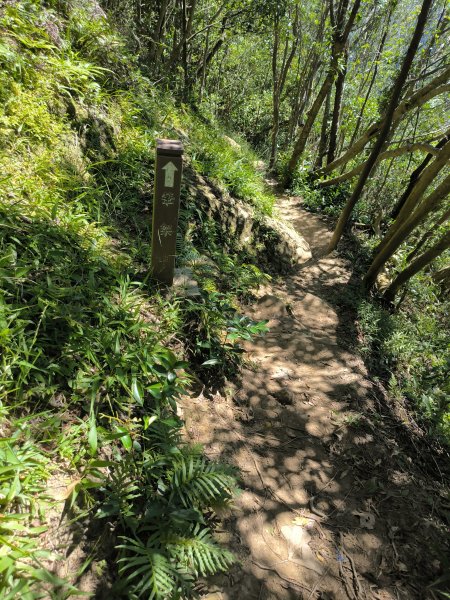 20251004微笑山線：【二格山系】筆架連峰段2904507