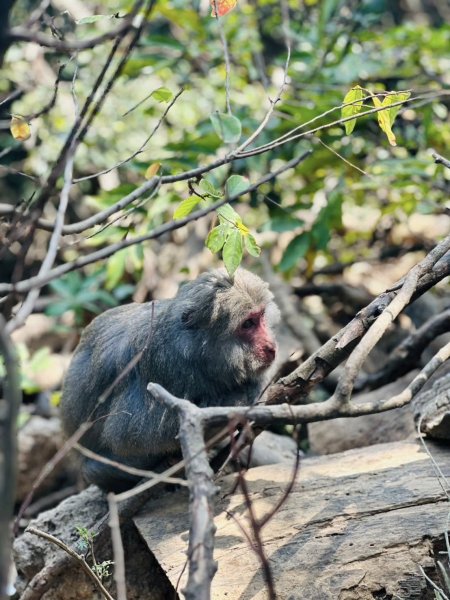 20260217 小百岳壽山3003046