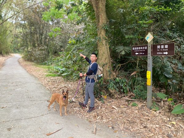 田中森林步道.赤水崎步道.龍過脈步道【都是友善石虎的好地方!!】2766682