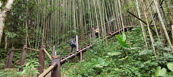 2025/05/03_白蘭溪古道2778166