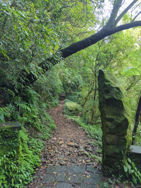 2025.04.27－金包里大路~小油坑縱走2770894