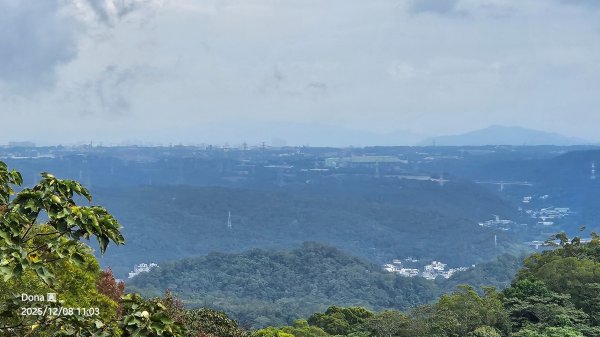 20251208雞寮坑山南稜線O走+鹿寮坑濕地賞景採果2969031