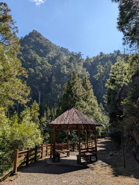 觀霧國家森林遊樂區和包場的榛山三角點2724184