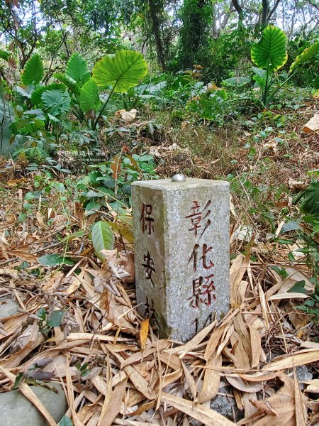 彰化縣社頭鄉~清水岩中央嶺造林步道&十八彎步道2168011