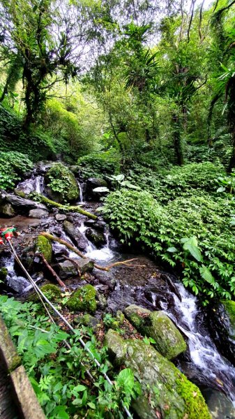 抹茶山，聖母登山步道，隆隆山，福卯古道，水柳腳登山步道，觀音台步道，北勢溪自行車道1742232