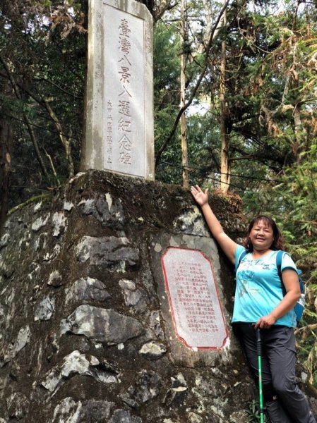 八仙山國家森林遊樂區527118