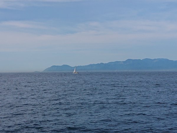 龜山島登頂-環湖-繞島1081186