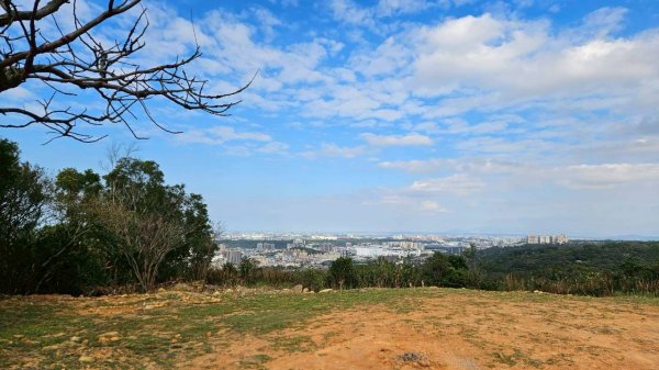 20260110楊梅福人步道-老坑山-保甲古道-東森山林步道-小楊梅步道-秀才步道茶園段2982033