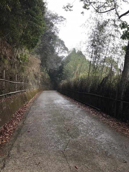 110年4月25日雲林  雲嶺之丘 五元二角 木馬古道1456549