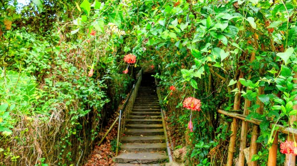 大崗山,盤龍峽谷2954507