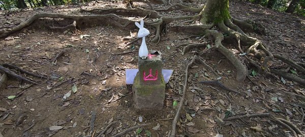 2025/12/06-光高天+南大龜+向天湖+三角湖山2957695